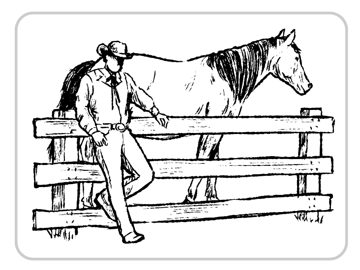 Save a Horse Ride a Cowboy Sticker