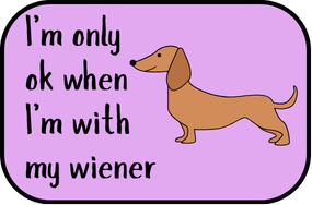 3x2 " I'm Only Okay When I'm With My Wiener" Sticker