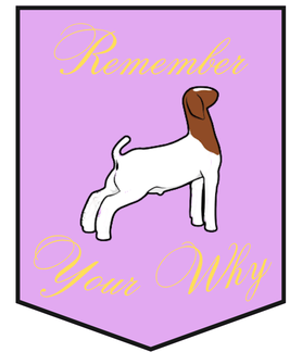 2x3 "Remember Your Why" Show Animal Sticker