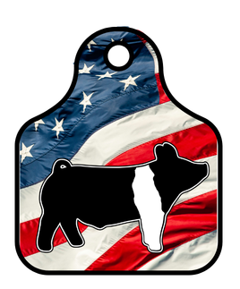 6x6 Show Pig Ear Tag Sticker