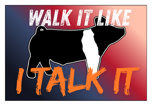 Walk It Like I Talk It