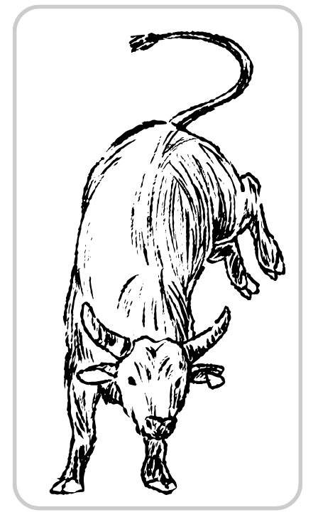 Bucking Bull Sketch Sticker