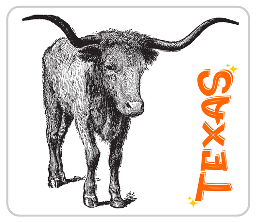 Texas Longhorn Sticker